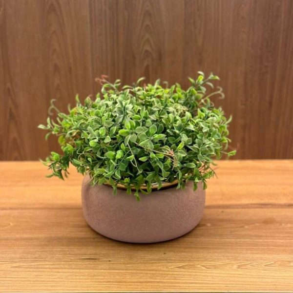 Imagem do WhatsApp de 2024-09-24 à(s) 20.30.27_0ce28d2c