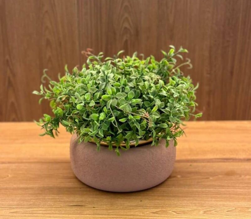 Imagem do WhatsApp de 2024-09-24 à(s) 20.30.27_0ce28d2c